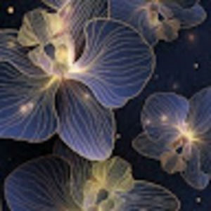 Meet your Posher, Audrey